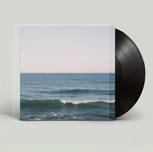50 Premium Transparent Vinyl Record Sleeves 12" 