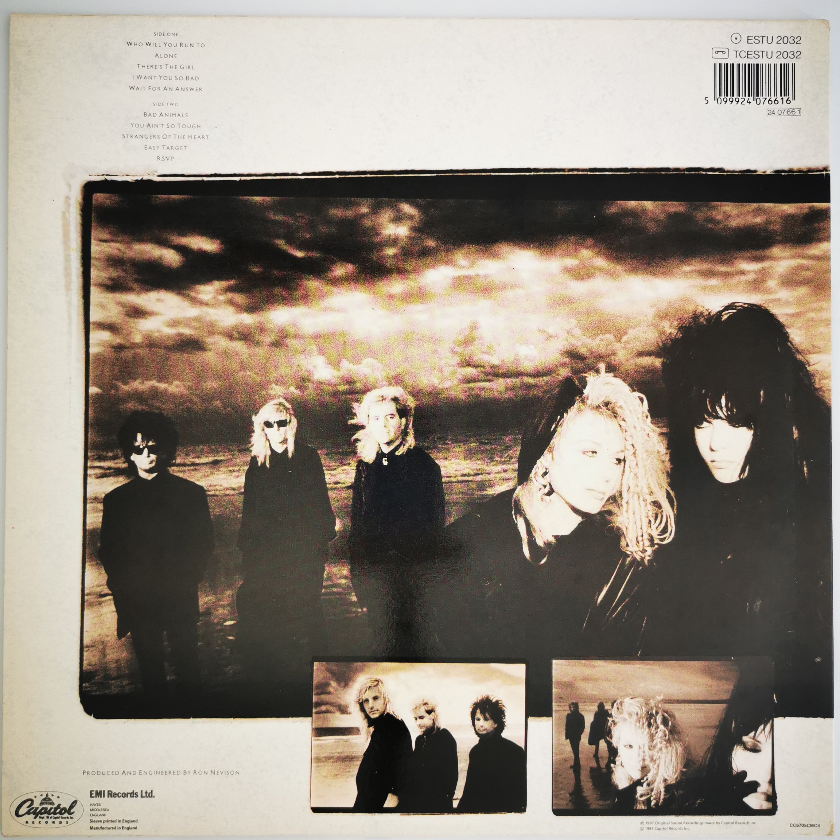 Heart Bad Animals Vinyl LP Record
