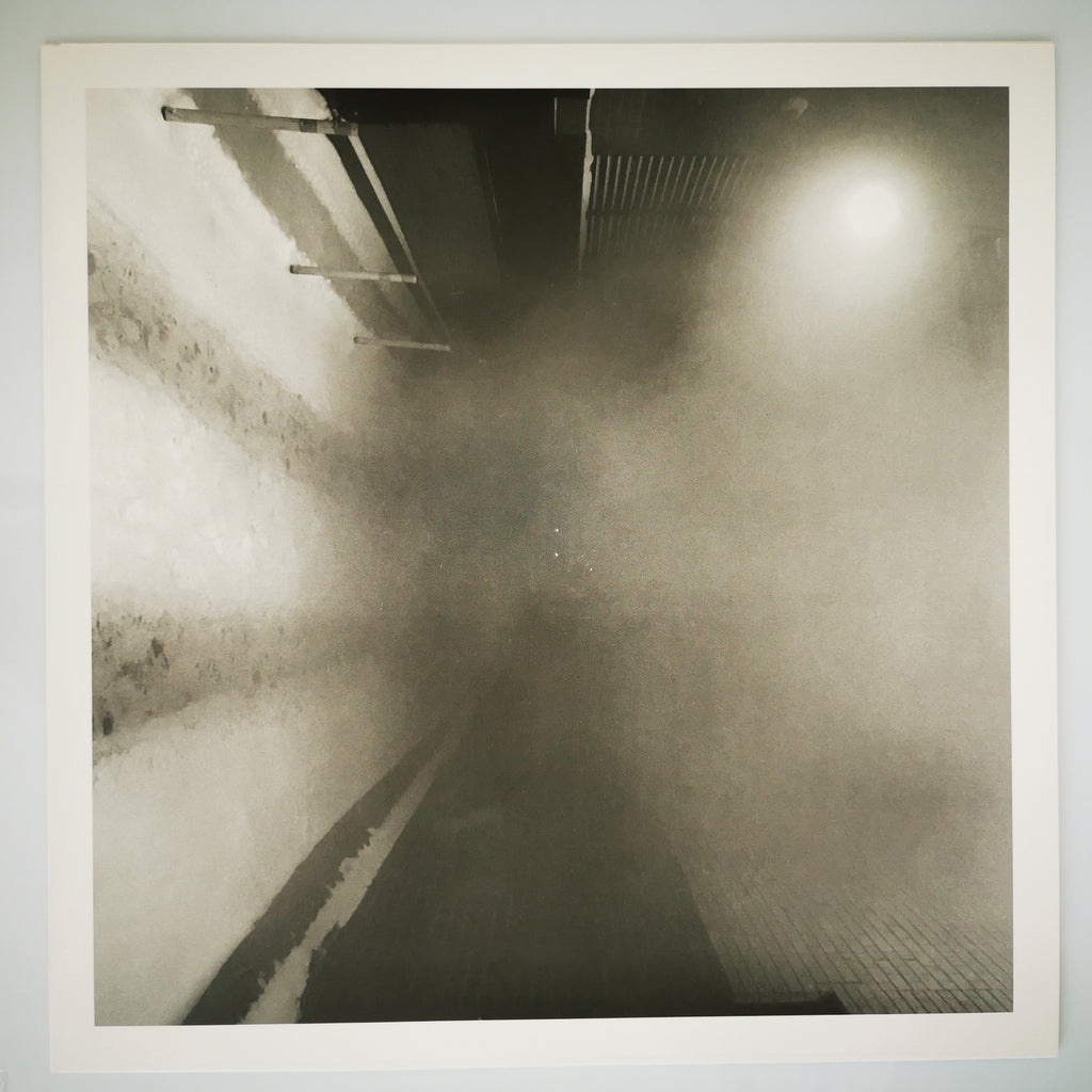 Daniel Knox – Chasescene Vinyl LP Gold Record
