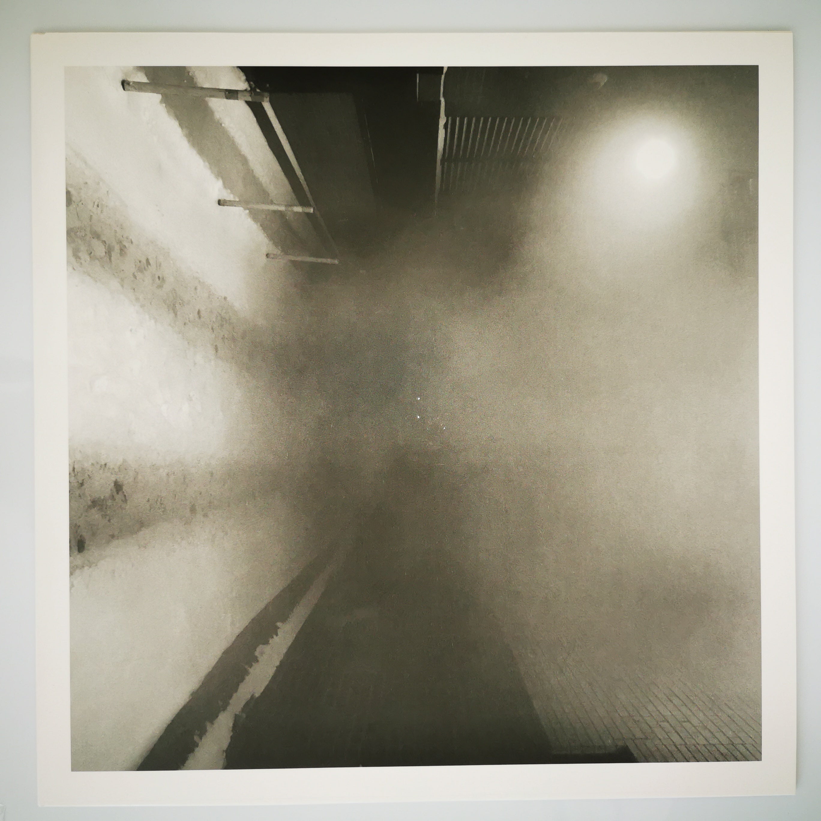 Daniel Knox – Chasescene Vinyl LP Gold Record