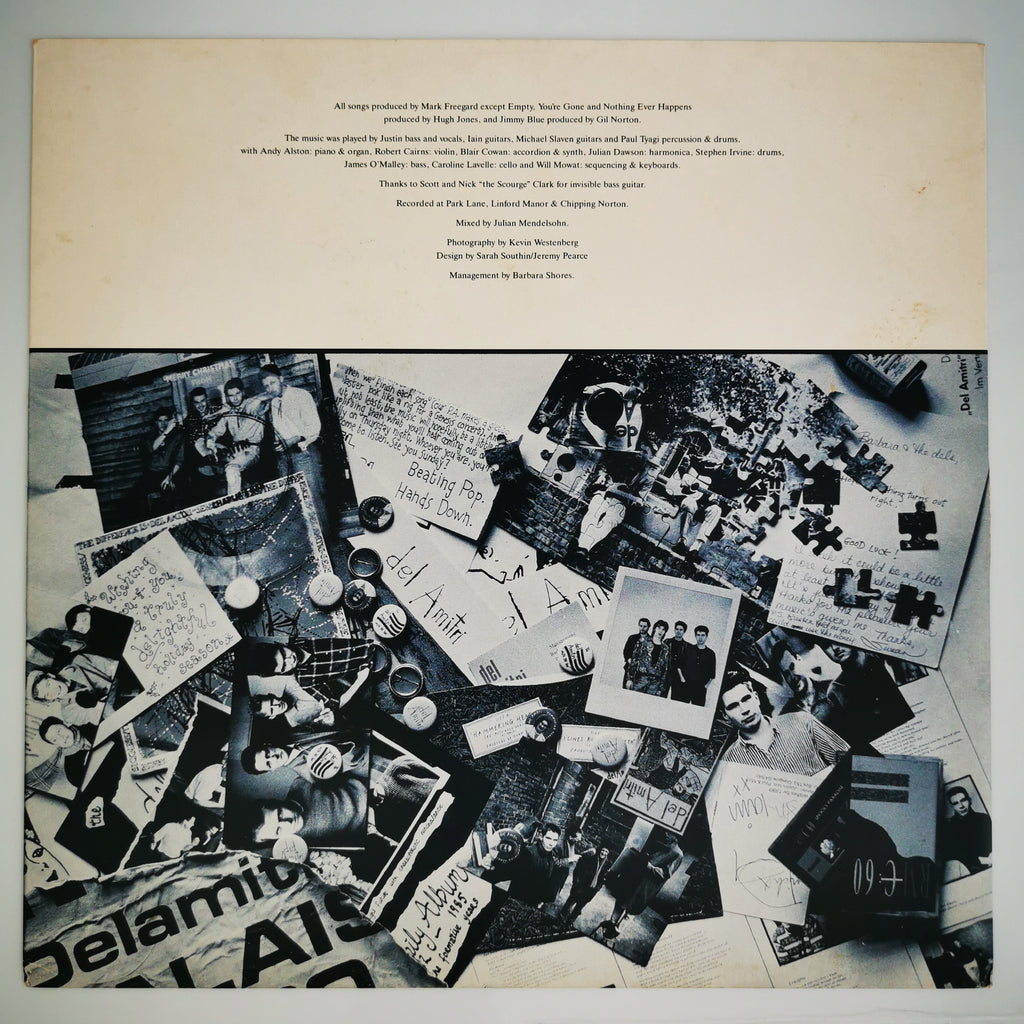 Del Amitri Waking Hours Vinyl LP Record