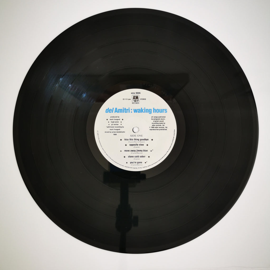 Del Amitri Waking Hours Vinyl LP Record