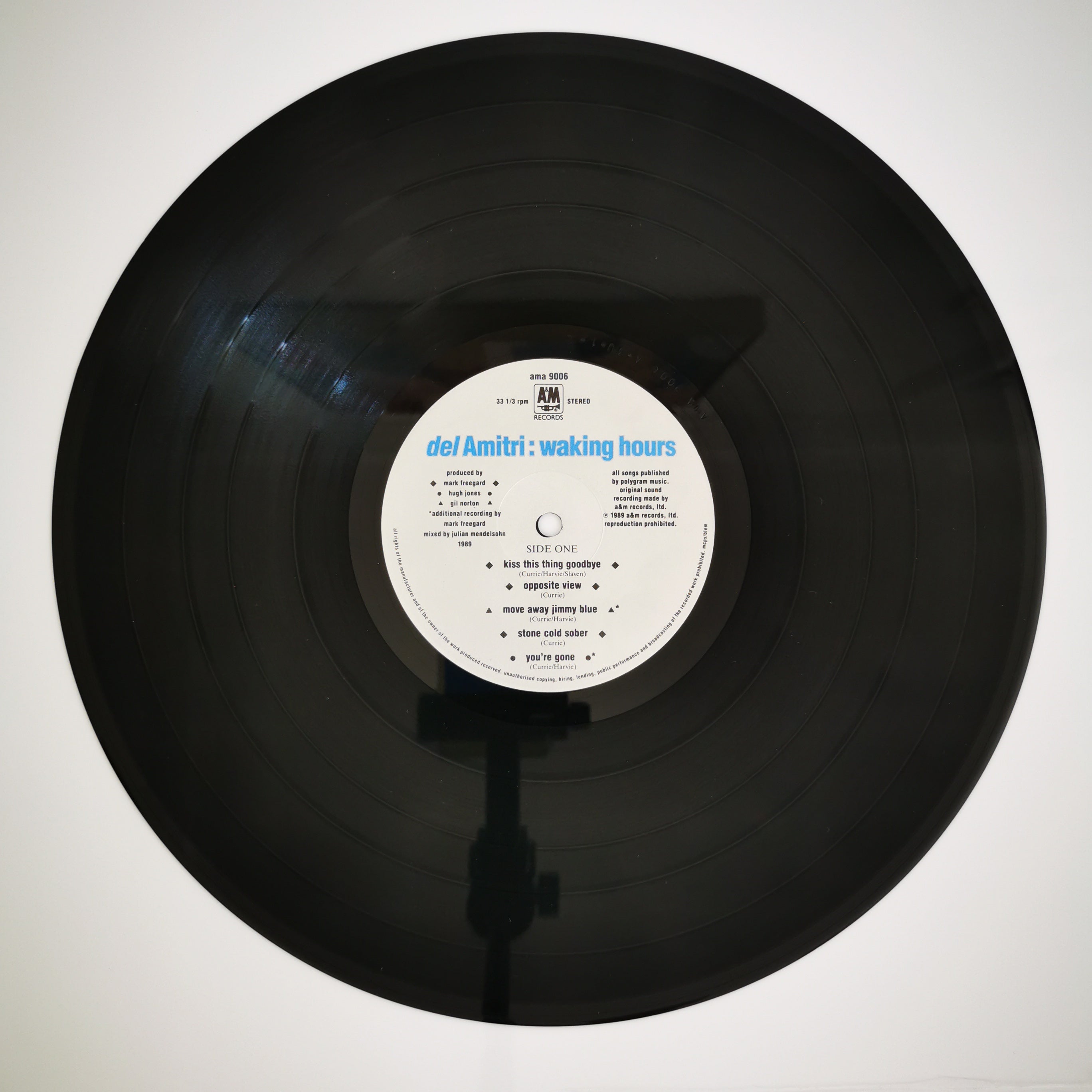 Del Amitri Waking Hours Vinyl LP Record