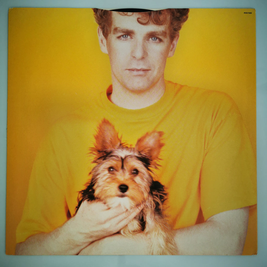 Pet Shop Boys Introspective Vinyl LP Record