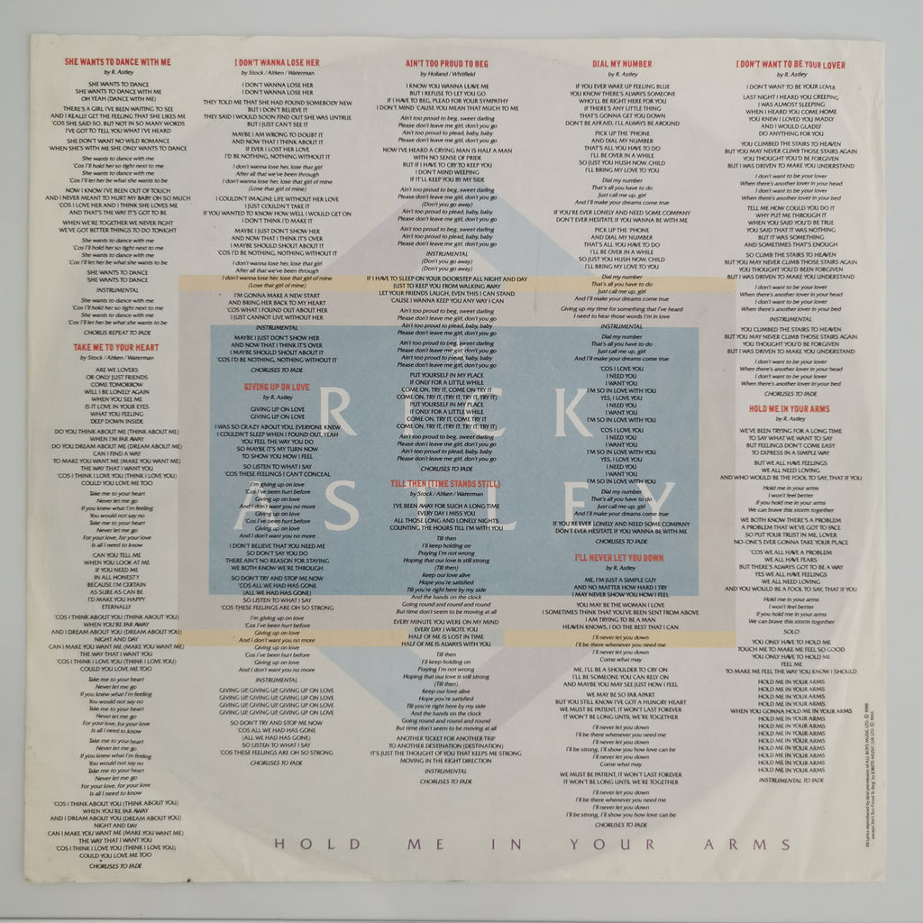 Rick Astley – Hold Me In Your Arms Vinyl LP Record