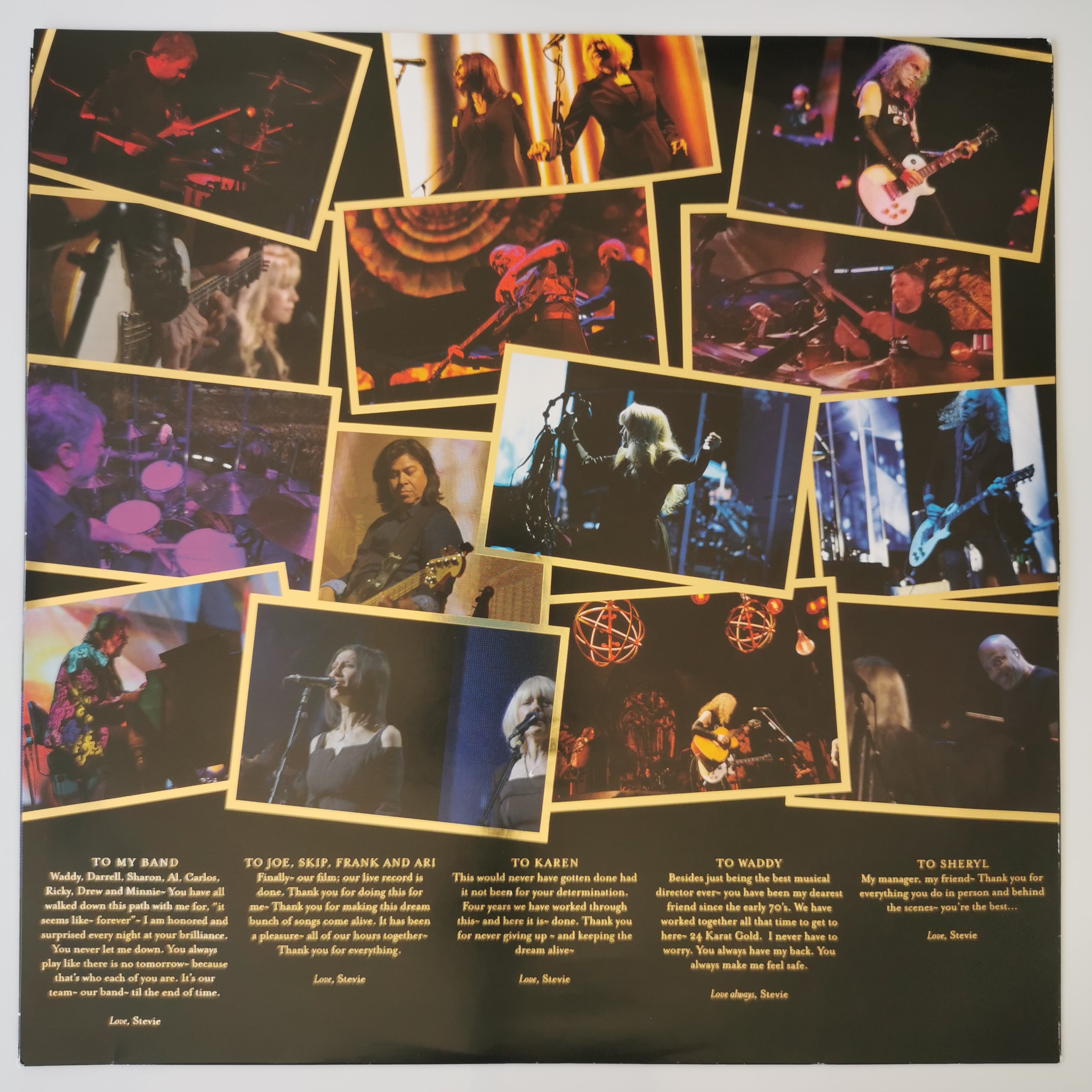 Stevie Nicks – Live In Concert The 24 Karat Gold Tour Vinyl