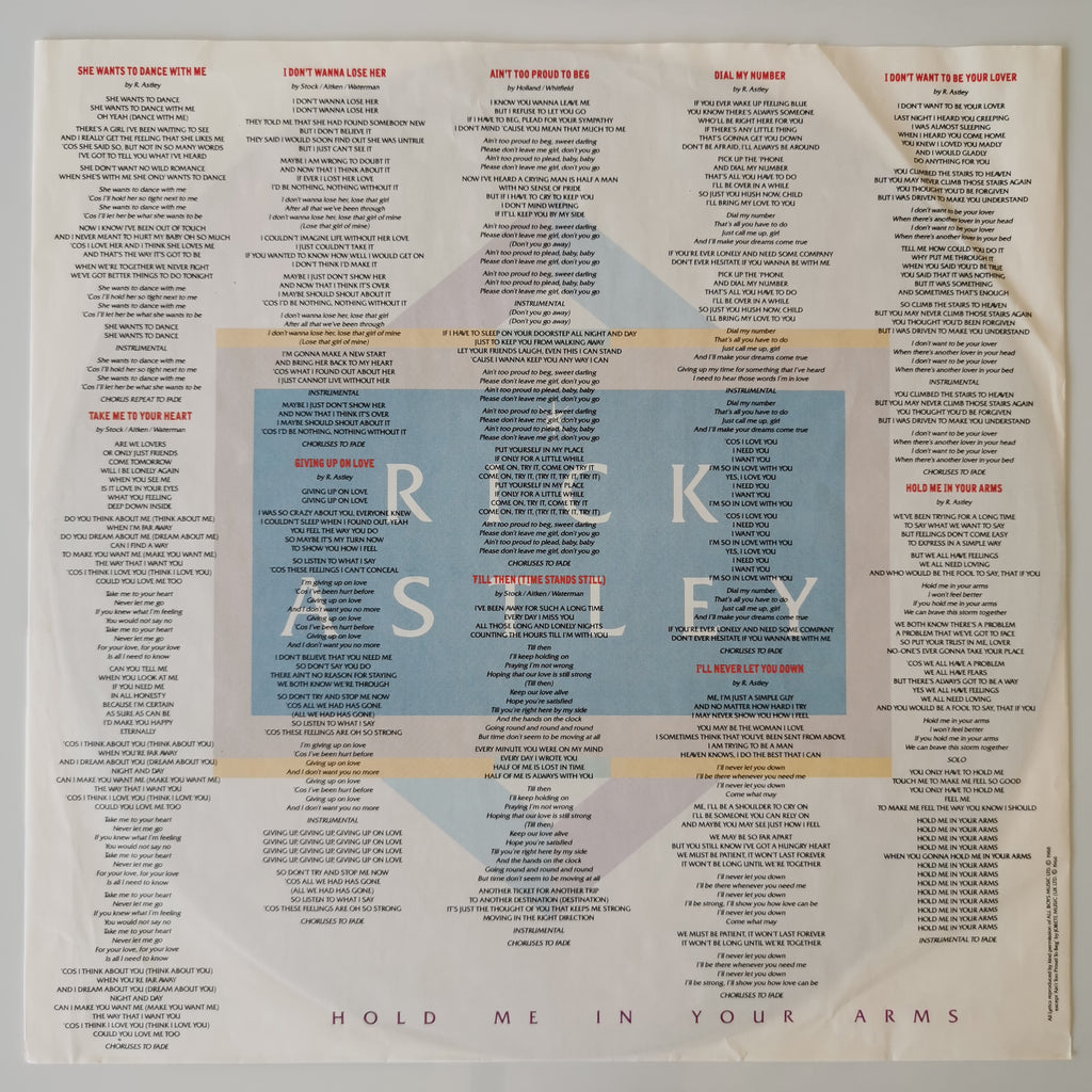 Rick Astley – Hold Me In Your Arms Vinyl LP Record