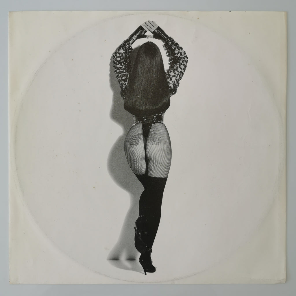 Cher – Cher's Greatest Hits: 1965-1992 Double Vinyl LP