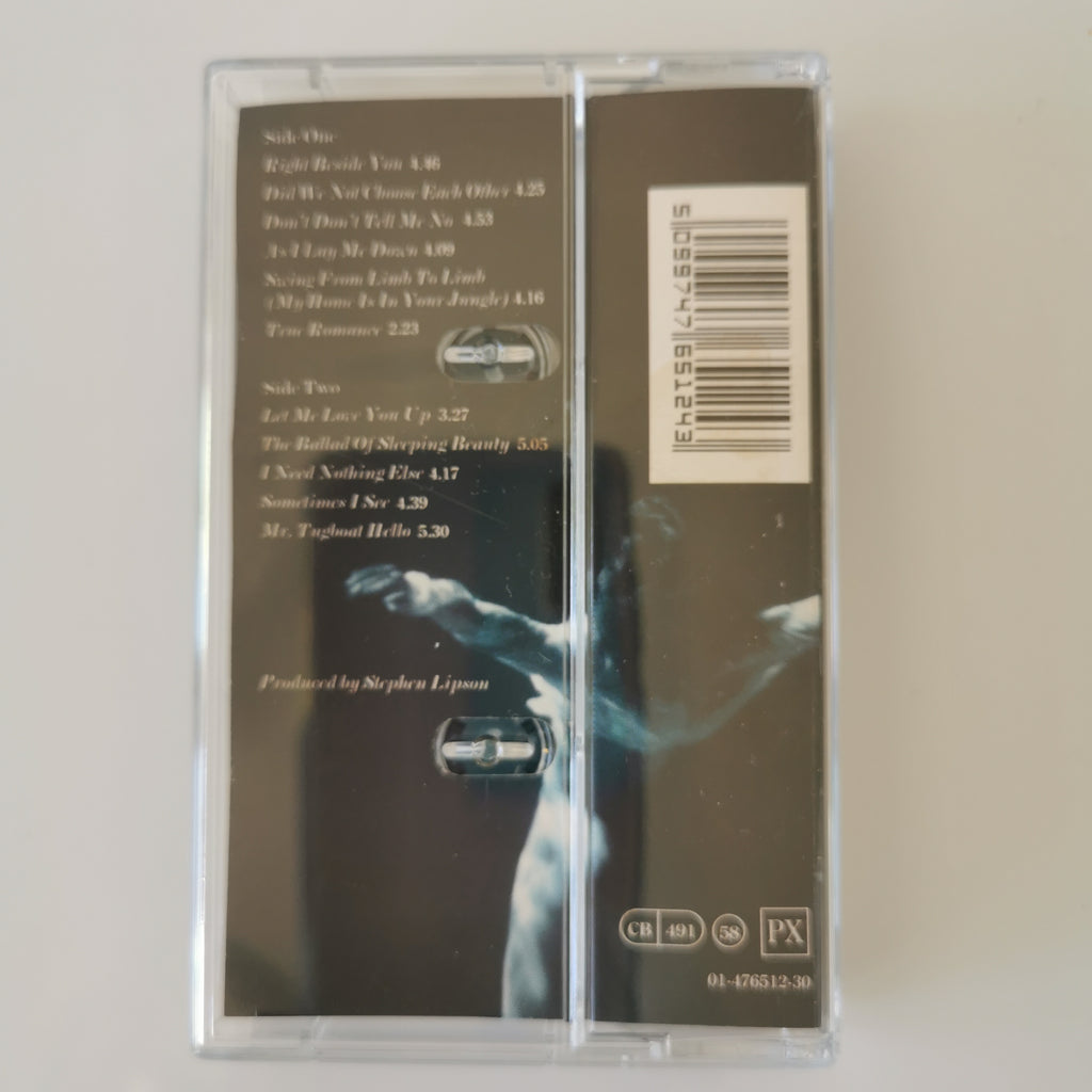 Sophie B. Hawkins Whaler Cassette Tape 1994