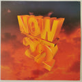 Various – Now That's What I Call Music! 22 Double LP
